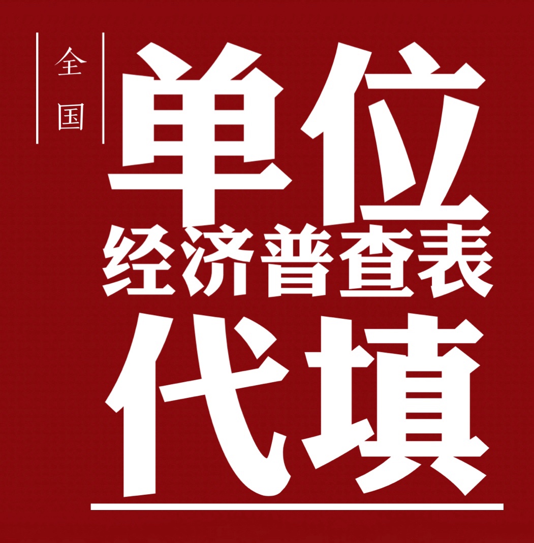 全国企业第五次经济普查表代填火炬年报财务报表代编个体户小规模