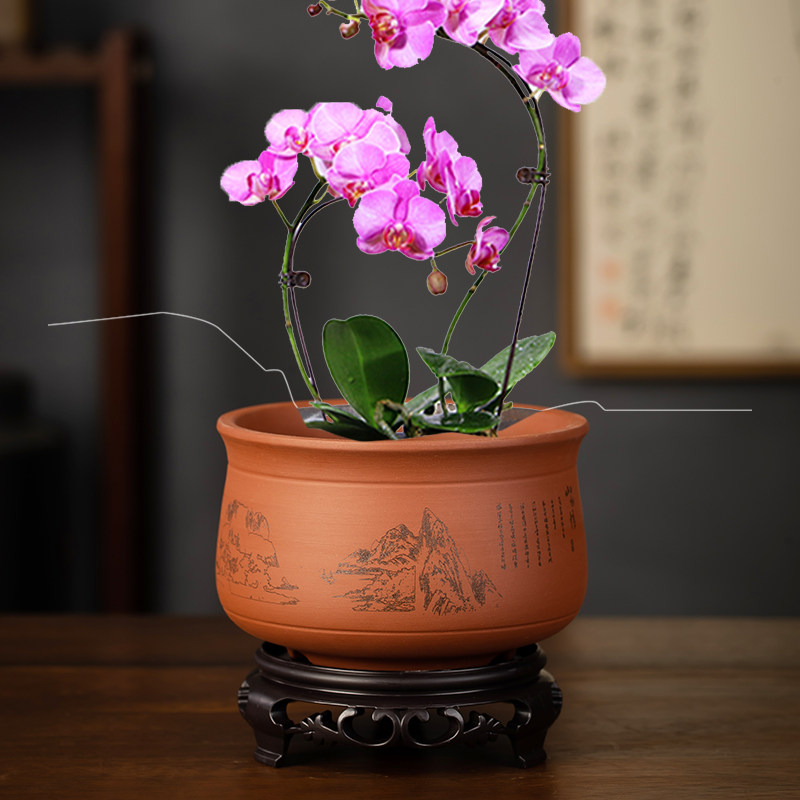 简约特价红陶君子兰花绿萝植物多肉花盆紫砂家用阳台透气盆带托,鲜花速递/花卉仿真/绿植园艺,花盆,淘宝优惠券,粉丝福利购,淘宝优惠卷