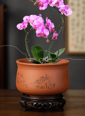 简约特价红陶君子兰花绿萝植物多肉花盆紫砂家用阳台透气盆带托