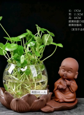 透明玻璃水养绿植花瓶容器
