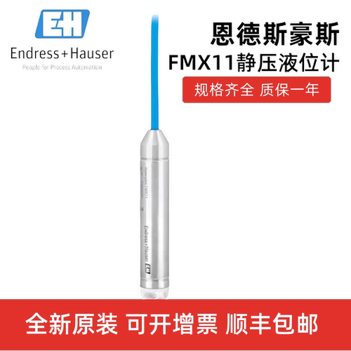 Endress+Hauser恩德斯豪斯 静压式投入式液位计FMX11-CA11GS10