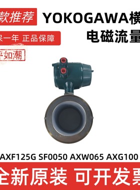 横河电磁流量计AXF125G SF0050 AXW065 AXG100 涡街DY100流量计