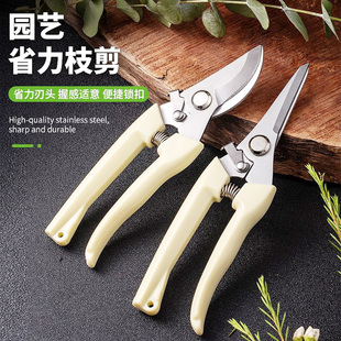 树枝修枝剪摘水果花木剪园林果树花卉枝嫁接园艺剪刀粗枝剪花枝剪
