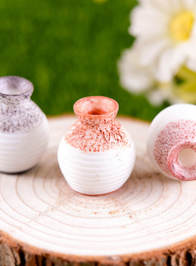 微景观多肉植物盆栽树脂工艺品