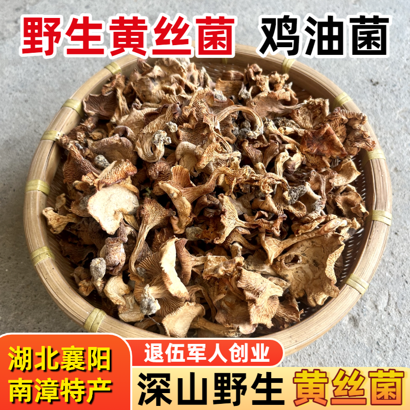 鸡油菌纯野生黄丝菌干货榆黄蘑菇