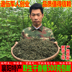 干香椿叶湖北襄阳特产农家野生香椿芽晒干新鲜香春头咸菜干货500g