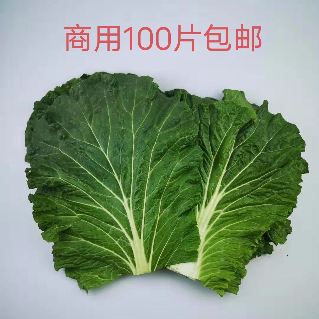 新鲜蔬菜现摘发货打包叶