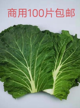 新鲜蔬菜现摘发货打包叶