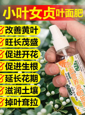 小叶女贞专用肥料树苗花肥土壤营养液旺长茂盛发芽促长新叶面肥料