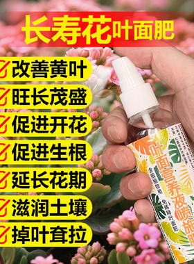长寿花专用肥料盆栽土壤复合开花肥营养液叶面肥叶面肥水溶化肥料