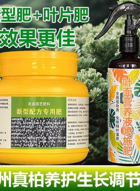 济州真柏专用肥料养护树苗盆景土壤营养液叶面肥有机肥水溶化肥料