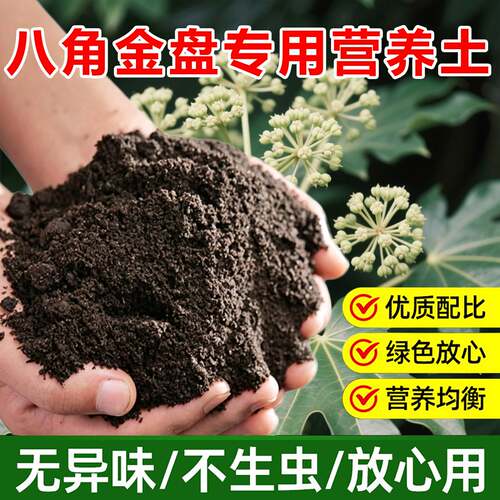 八角金盘专用土料盆栽树苗土壤复合有机土营养土有机土种植肥家用