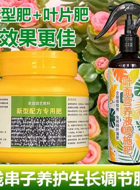 钱串子专用肥料钱多多肉植物钱串锦前程似锦土壤营养液叶面肥肥料