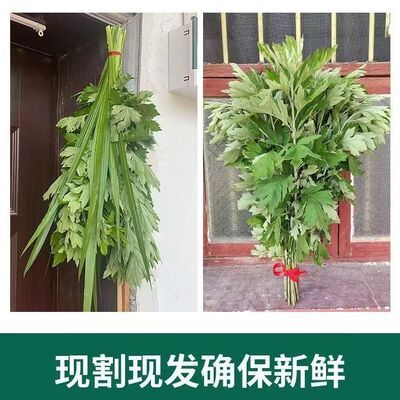端午节艾草花束装饰传统习俗祈福新鲜菖蒲入户门挂车挂房吉利安康