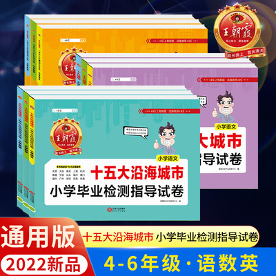 小学语文五大城市毕业检测指导