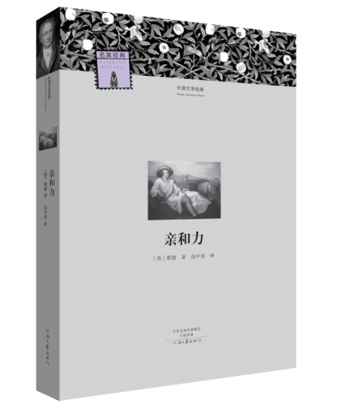 河南文艺出版 亲和力  初高中生课外书 经典文学世界名著外国小说课外读物 青少年课外阅读书籍畅销读物排行榜