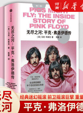 无尽之河平克弗洛伊德传