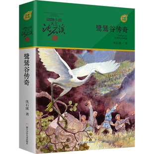 鹭鸶谷传奇 动物小说大王沈石溪军旅系列  儿童文学读物小学生课外阅读书籍10-14岁儿童校园阅读故事