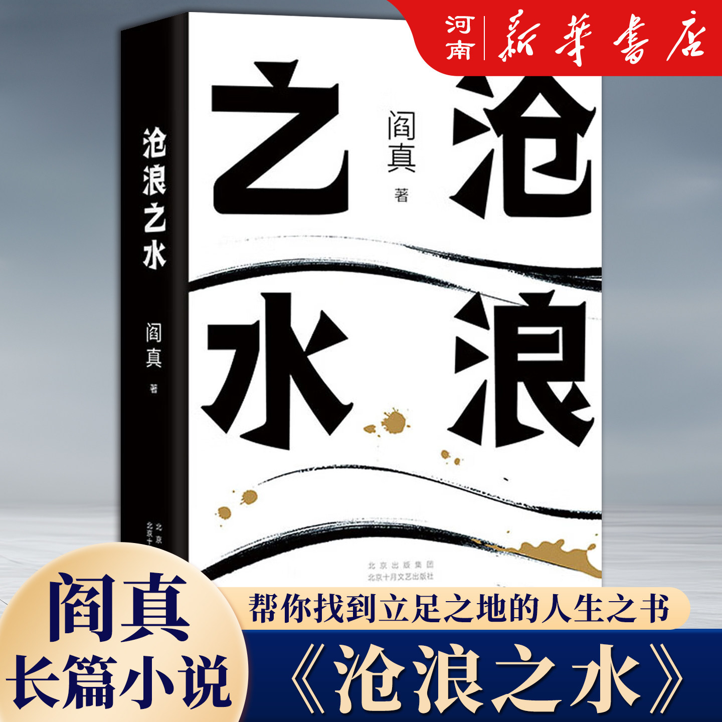 岁月原著小说沧浪之水图片