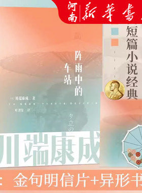 外国文艺小说文学正版书籍
