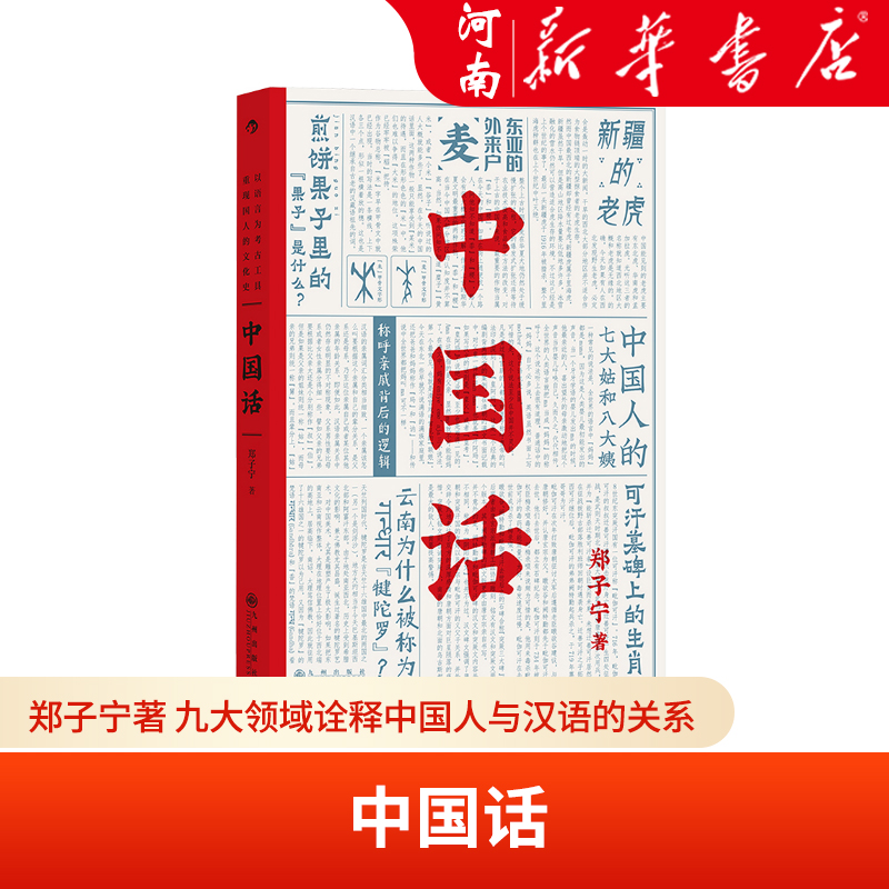 中国话 郑子宁著 九大领域诠释中国人与汉语的关系 后浪正版汉语方言民族文化书籍  新华正版