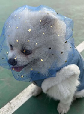 狗狗外出头套舒适透气中小型犬用嘴套星星网纱误食防舔网套专用