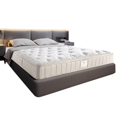 Sealy/丝涟美姿弹簧乳胶偏软加厚永恒家用床垫