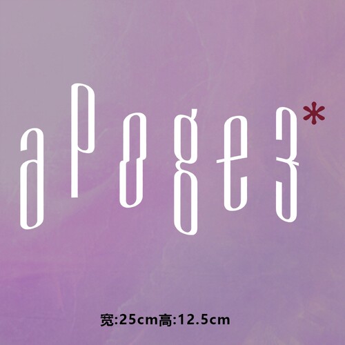 潮牌APOGE3字母图案烫画贴时尚印花衣服贴热转印白墨贴纸