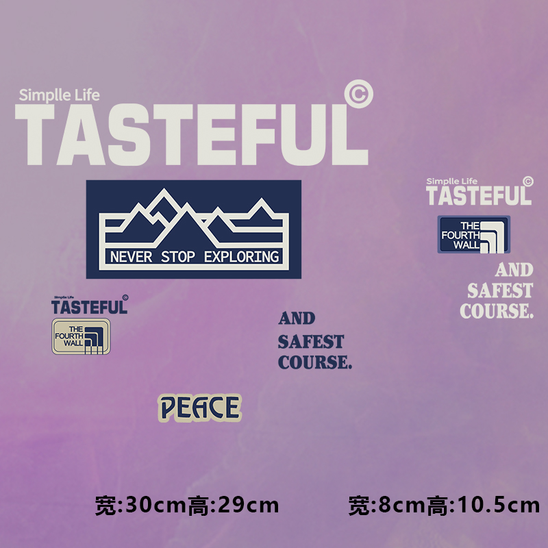 高级烫画图案新款时尚TASTEFUL烫画贴印花衣服热转印白墨烫画布贴