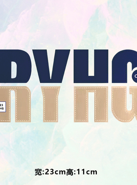 潮牌时尚英文RYHG两色拼接字母白墨现货印花图案衣服高弹烫画贴标