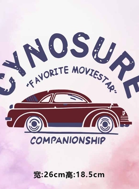 烫画图案新款时尚cynosure汽车烫画贴印花衣服热转印白墨烫画布贴