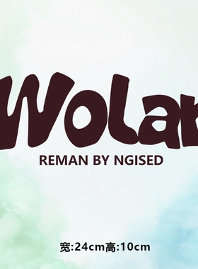 高级烫画图案新款wolar字母烫画贴印花衣服热转印白墨烫画布贴DIY