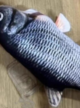 整蛊巨丑炸裂大鱼y73s男女款vivo y35m/IQOO13/12/11s恶搞怪软IQOO NEO10/9s pro+/8/7/6/5手机壳iqoo z9x/z8