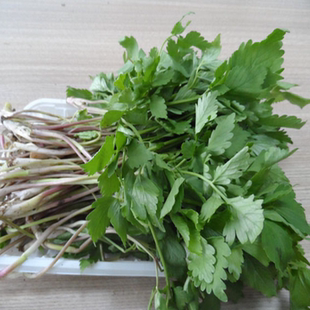 东北特产野生山野菜大叶芹食用山菜特价500g一份以上包邮顺丰