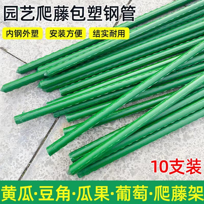 庭院爬藤杆葡萄黄瓜豆角西红柿架图片