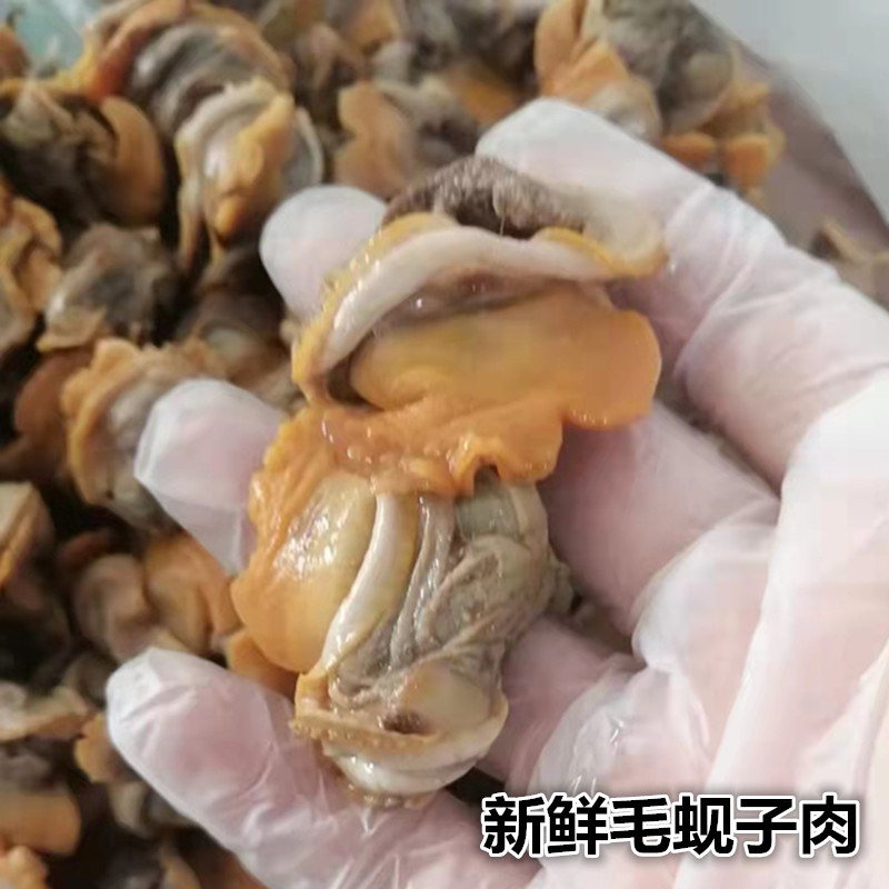 新鲜毛蚬肉 蛤蜊肉3斤新鲜手剥花蛤肉蚬子花甲肉贝类海鲜水产蚬肉