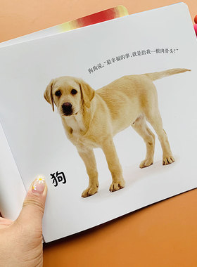 宝宝启蒙认物大全婴儿书认物绘本托班学前儿童早教认物认识水果蔬菜动物图卡片0-1-2-3岁认知儿童实物图册小孩图片幼儿看图识物书