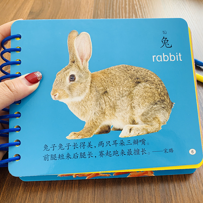 扫码发声宝宝书籍撕不烂动物乐园卡片看图认动物物卡片儿童早教圈圈书