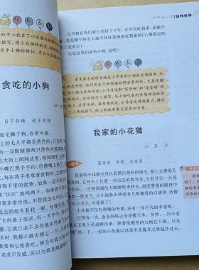 小学生状物作文优秀满分范文