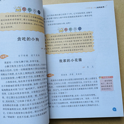 小学生状物作文优秀满分范文