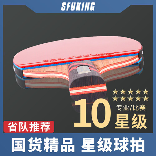 乒乓球拍专业级单拍十星碳素球拍