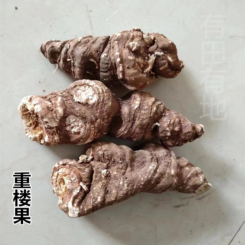 云南中药材独脚莲重楼七叶一枝花