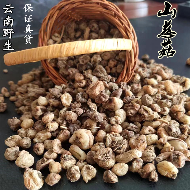 野生中药材山茨菇山慈菇冰球子