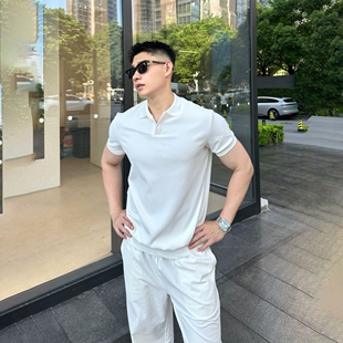 美式领POLO衫短袖男老钱风轻薄通勤商务针织弹力板正T恤上衣