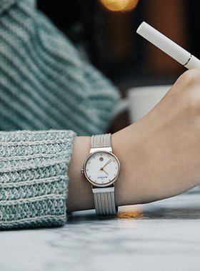 Skagen诗格恩女表潮流休闲时尚简约复古女士手表DW355ssrs355ssgs