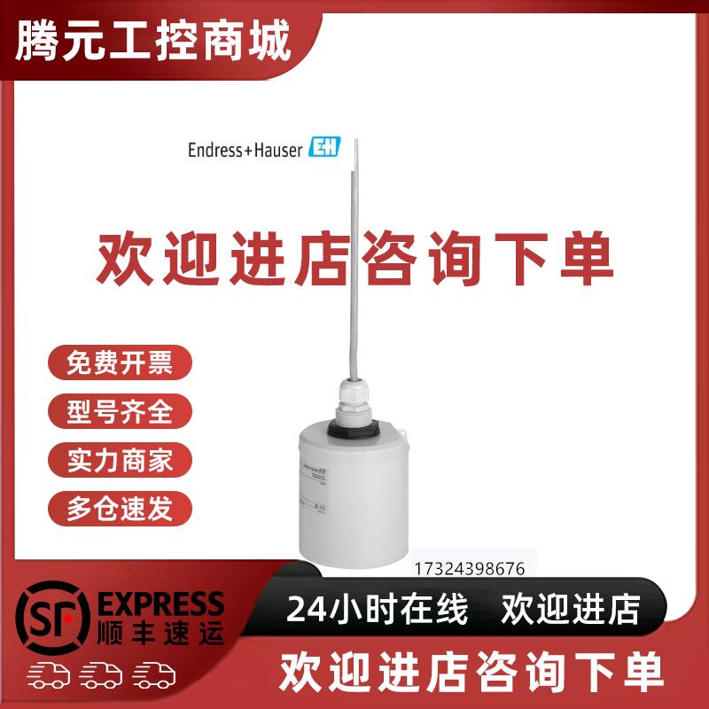议价现货 E+H 超声波传感器 FDU91-RG2AA超声波物位探头 拍前咨询