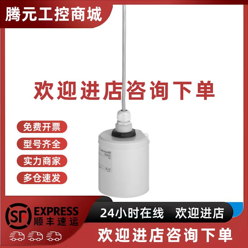 议价E+H超声波液位计探头 FDU92-RG1A 恩德斯豪斯Endress+Hauser