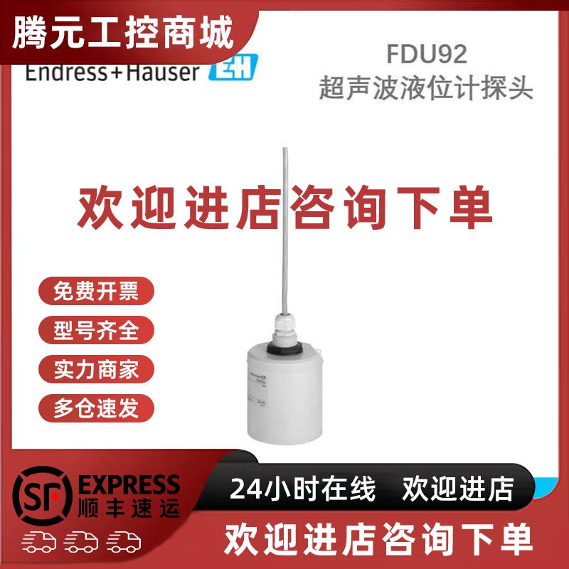 议价Endress+Hauser E+H FDU92-RG2A 超声波液位计探头恩格斯豪斯