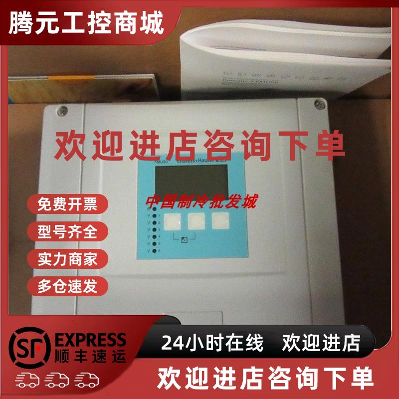 议价E+H超声波流量计FMU90-R11CA111AA3A + FDU91-RG2AA分体式液