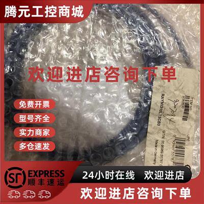 议价红外测温仪MI310LTSCB3美国雷泰红外点温计MI3系列RAYMI320LT